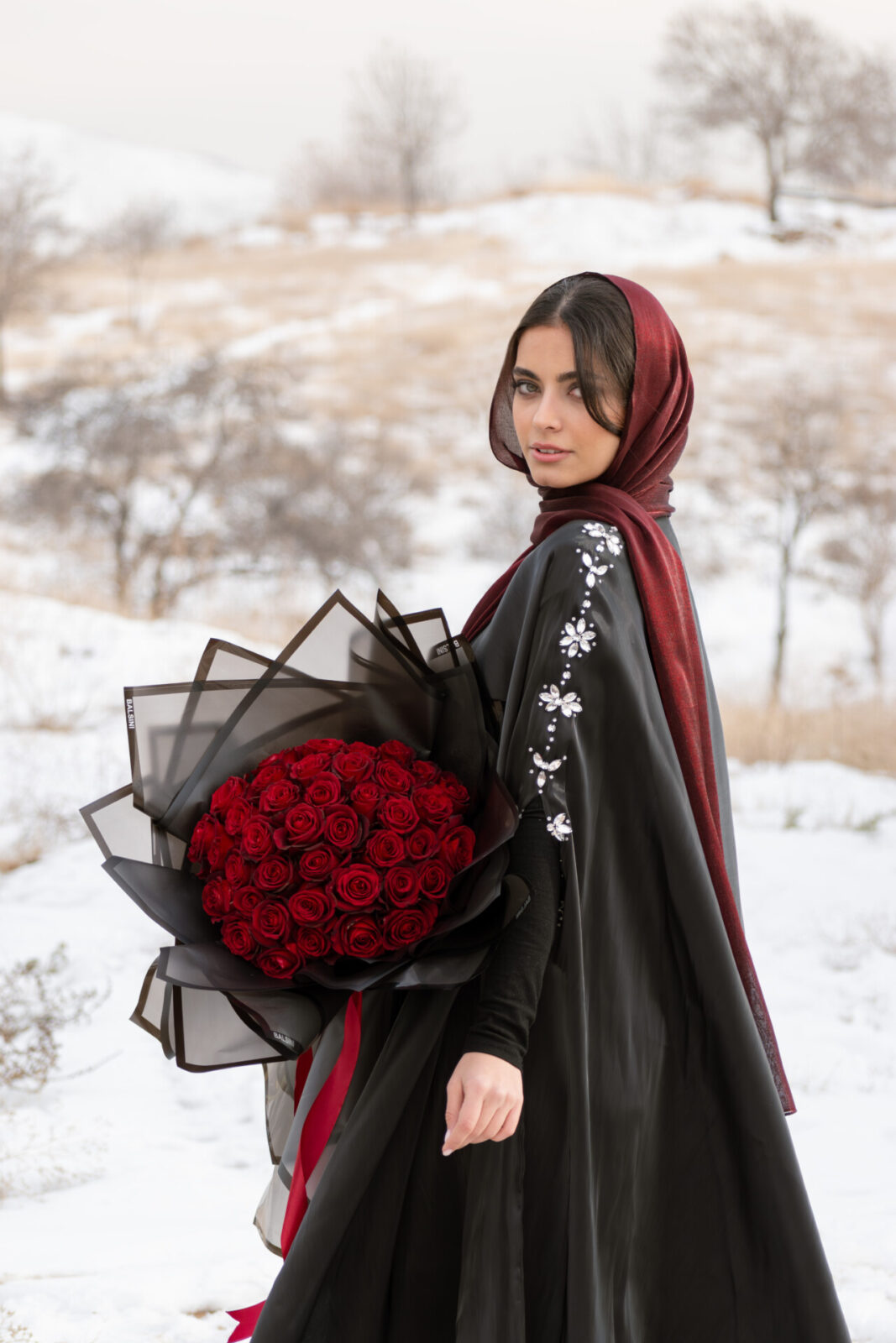 عبا رویا - تصویر 5
